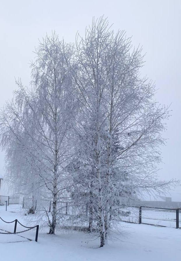 «Зимняя сказка».