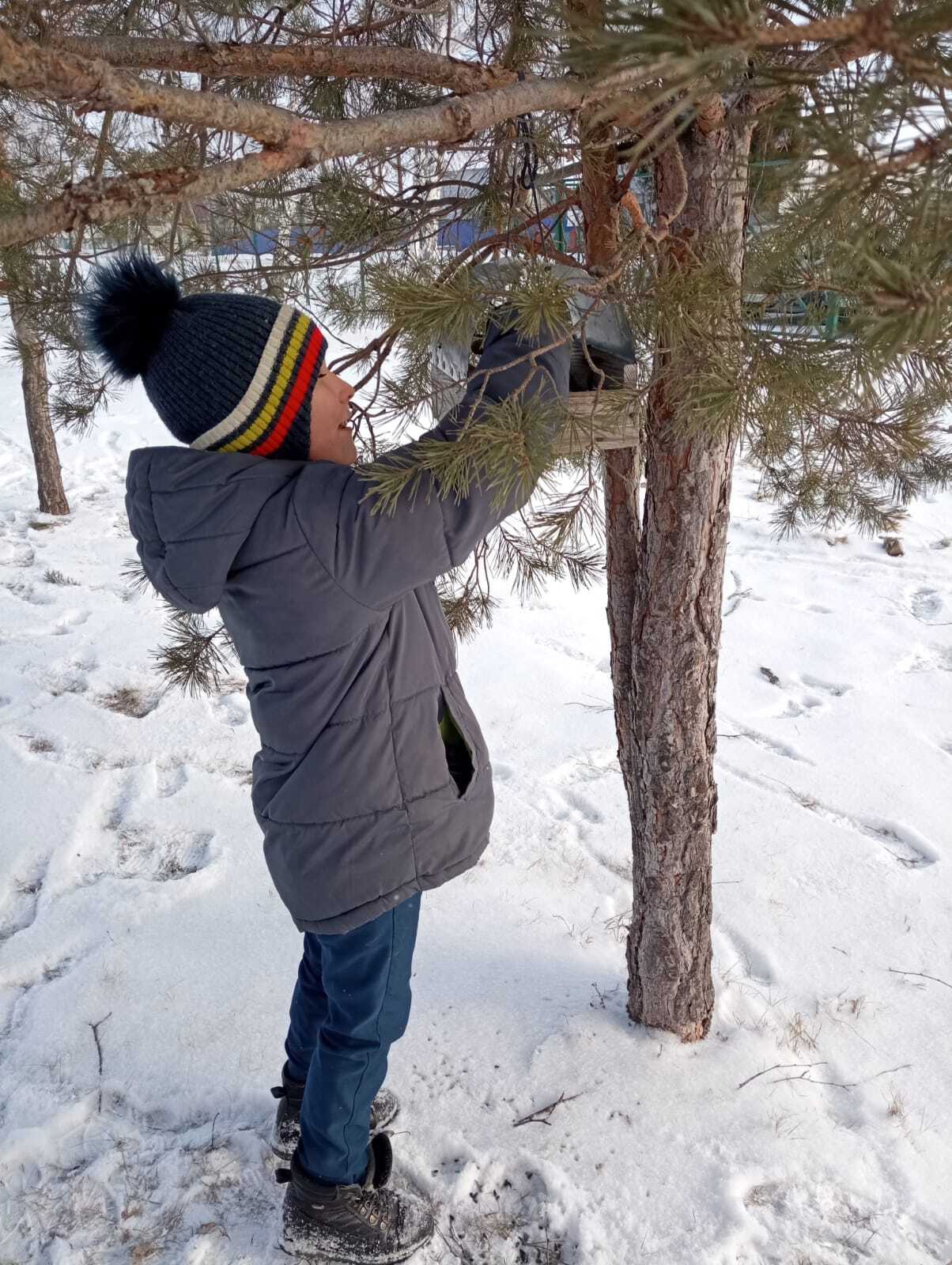 Акция &amp;quot; Покорми птиц зимой&amp;quot;.